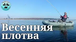 Весенняя  плотва на Ладоге
