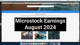 Stock Photography | August 2024 Microstock Earnings  