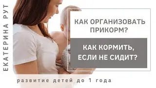 👉КАК ОРГАНИЗОВАТЬ ПРИКОРМ? КАК КОРМИТЬ, ЕСЛИ НЕ СИДИТ?