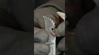 Своими Руками! 