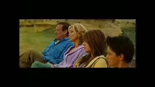 Пытался выгнать енотов, но в итоге остались на улице #shorts