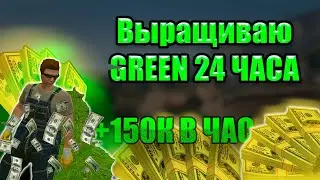 ВЫРАЩИВАЮ СЕМЕНА GREEN 24 ЧАСА В 2023 ГОДУ 🥑👾 MAJESTIC RP 👾 💸 +150К ЗА ЧАС 💸 👮 ПОВЯЗАЛИ МЕНТЫ 👮