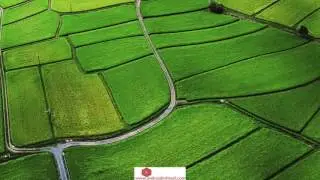 Android login using http post request tutorial in hindi #24