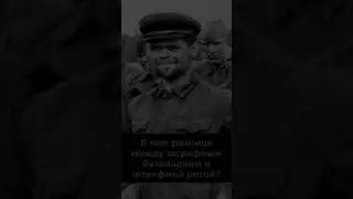 В чем разница между штрафным батальоном и штрафной ротой? 