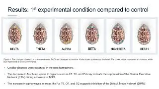 Effects of T Consciousness Fields on Brain Mapping Using Quantitative Electroencephalogram QEEG