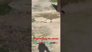 Как мы клали камень