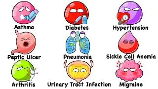 Every Common Disease Explained in 13 Minutes