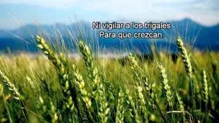 Creador Discreto HD