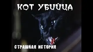 КОТ УБИЙЦА...   Страшные истории на ночь.  Страшилки на ночь.  Ужасы.  Мистика.