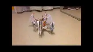 Hexapod trial version 1.0 - EE-321