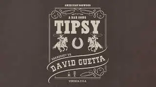 Shaboozey vs. David Guetta - A Bar Song (Tipsy) [Remix] (Official Visualizer)