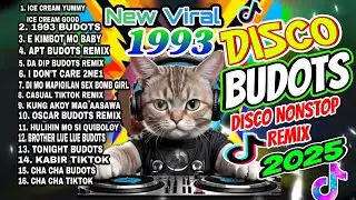New VIRAL 1993 TIKTOK BUDOTS DISCO PARTY 2024 - DjAmboy Obrero DISCO NONSTOP REMIX