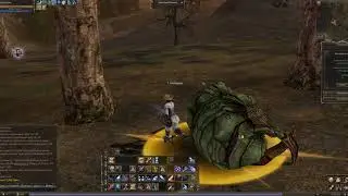 Один баф некром в Раскалённых Топях. Потно. [Lineage 2 Classic]