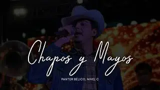 Chapos y Mayos -  Panter Bélico, Nivel C