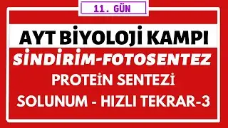 AYT KARIŞIK KONU ANLATIMI 3 ( HIZLI TEKRAR ) SİNDİRİM-PROTEİN SENTEZİ- FOTOSENTEZ - SOLUNUM