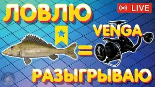 🔴 Разыгрываю ВЕНГУ, если ловлю троф Носаря | Турниры | Русская рыбалка 4 рр4 стрим 