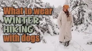 What to wear winter hiking with dogs