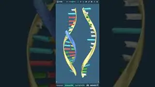 Mozaik 3D: РНК