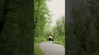 Right of way tree trimming Timelapse #treework #tree #arborist #shorts