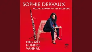 Grand Concerto in F Major for bassoon and orchestra: I. Allegro moderato