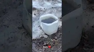 🙈 ЭДИСОН В ШОКЕ ОТ ВЕСНЫ - СТОРИС ЭДИСОН МАЙНКРАФТ 