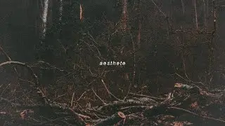 pierre walch - born in time (slowed cover)