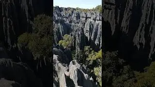 Tsingy de Bemaraha national park. Madagascar