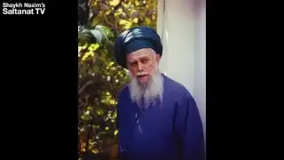 Шейх Назим Эфенди. Иногда война необходима