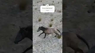 The wild horses of Azerbaijan 