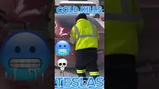 Chicago Teslas Dead in the Cold 