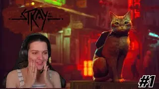 Stray ♦ rus/eng stream ♦ #1