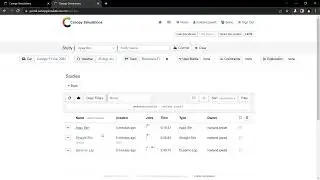 Canopy Running a Laptime Simulation and Filtering Results