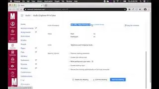 Working with Zoom in Canvas