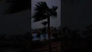 БУРЯ В ЕГИПТЕ