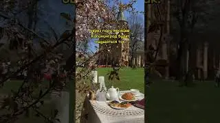 у меня в блоге ты увидишь самые интересные места Калининграда #калининград #кёнигсберг #путешествия