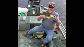 Bass fishing in the marsh