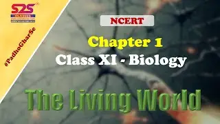 Class 11 Biology - Chapter 1 - The Living World | NEET | CBSE | NCERT | S2S Classes | Full Chapter