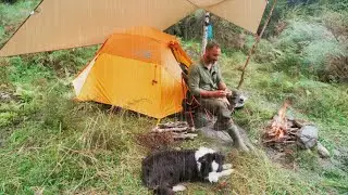 Tent CAMPING in RAIN - Fire - Dog