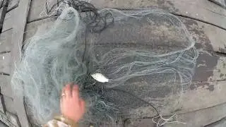 Удачная рыбалка кастинговой сетью Американского типа!!!
