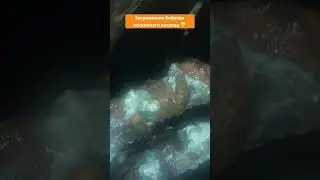#baxi