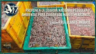 ¿Podrá la Guardia Nacional proteger a los Mares Mexicanos?