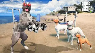PRİME TERMİNATÖR GERİ DÖNDÜ! ABİSİ MİKE İLE KAS GELİŞTİRDİ! - GTA 5