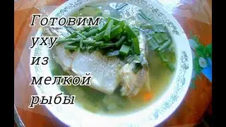 Готовим уху из мелкой рыбы