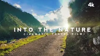 Into the nature |cinematic film 4k |shot on a phone