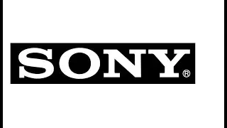 Sony interview
