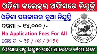 Odisha Collector Office Recruitment 2021 ! Odisha Govt Jobs 2021 ! Odisha Job Updates ! Odisha Job