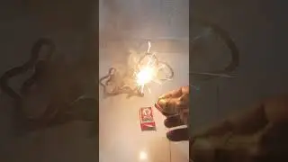Diwali wala sap ki goli Testing Diwali Crackers | Snake Cracker