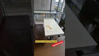 Из Германии в Россию навсегда