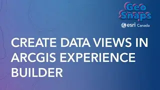Create Data Views in ArcGIS Experience Builder