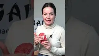 Жевательная МЫШЦА #shorts #лицо #самомассажлица